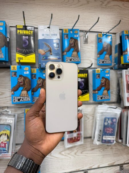 iPhone 13 Pro Max 128GB Argent