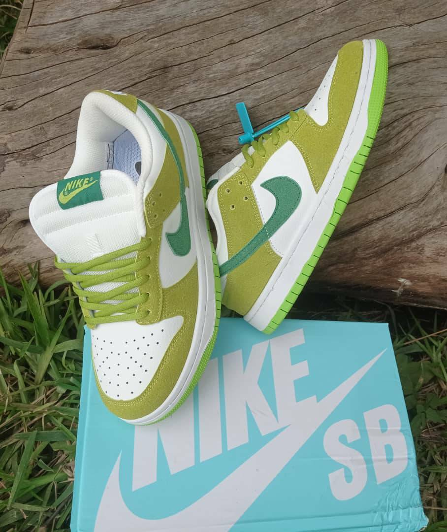 Chaussure NIKE SB DUNK vert