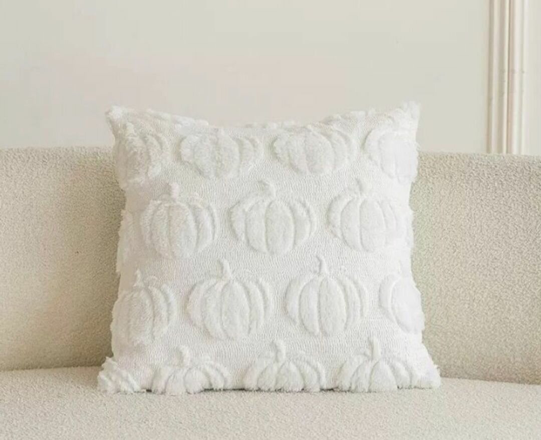 Coussin décoratif moderne pour salon