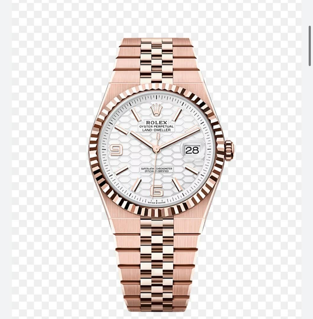 Rolex Land-Dweller Montre Homme