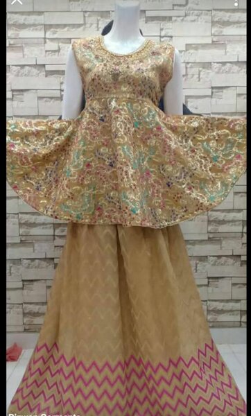 Ladies fancy dress