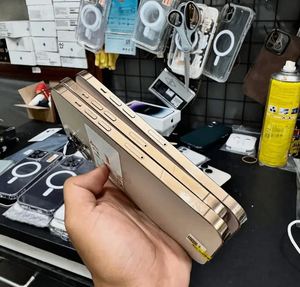 Coque MagSafe iPhone