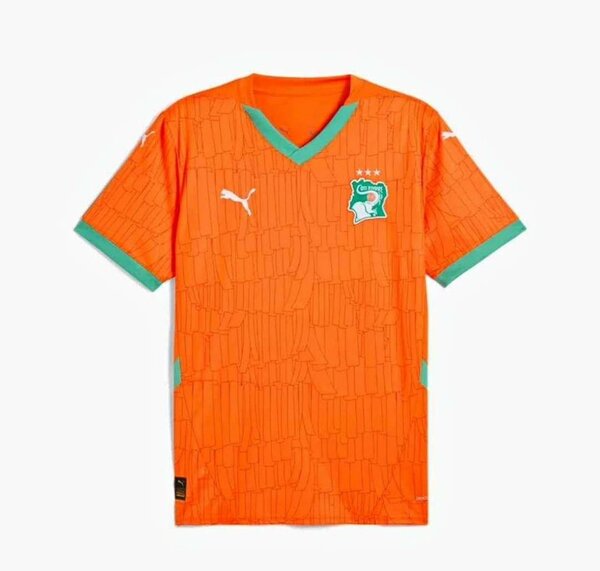 Maillot des éléphants