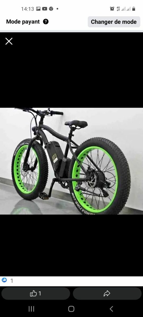 Vélo électrique tout-terrain