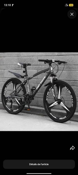 Vélo VTT Tout-Terrain Légère