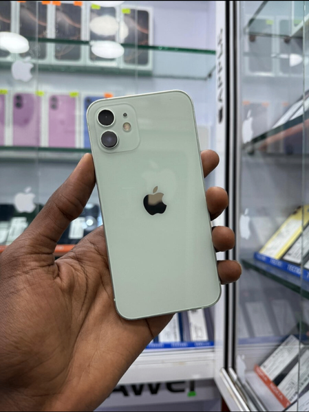 iPhone 12 Vert 64 Go