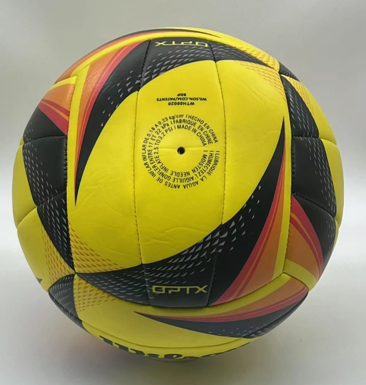 Ballon de Volley Professionnel