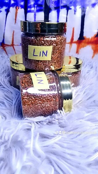 Graines de Lin en Pot