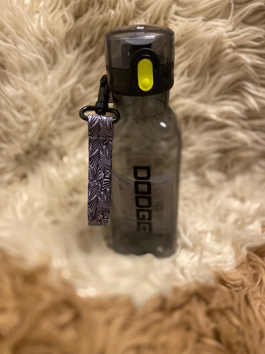 Bouteille d'eau Dodge 500ml