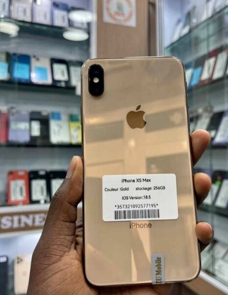 iPhone XS Max 256Go Reconditionné