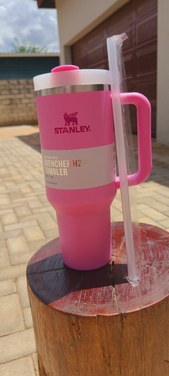 Stanley tumblers