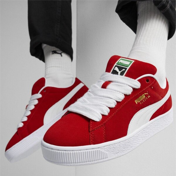 Magnifique puma