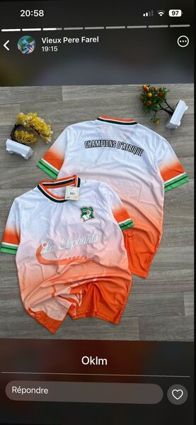 Maillot Côte d'Ivoire Puma