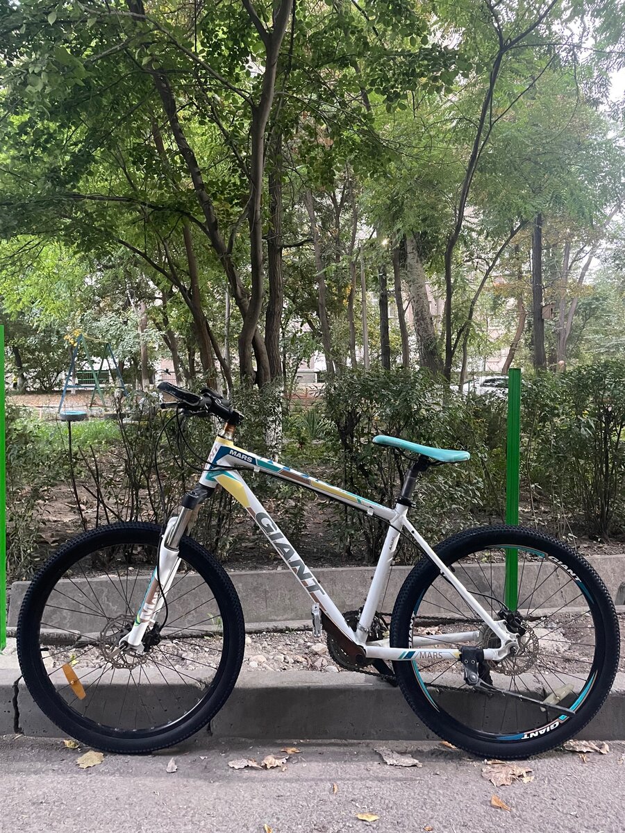 Фирменный Giant ATX MARS.