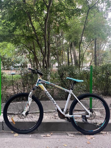 Фирменный Giant ATX MARS.