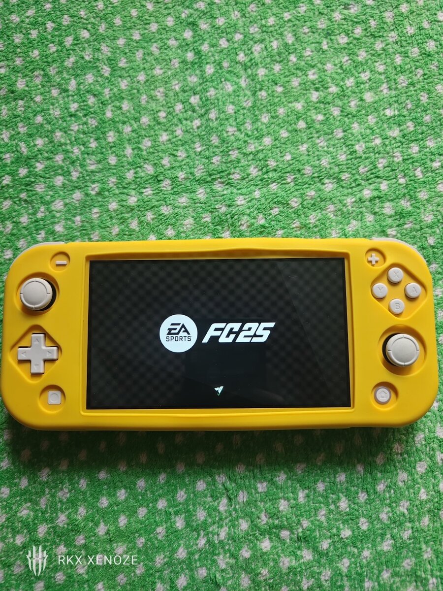 Nintendo switch lite cracké