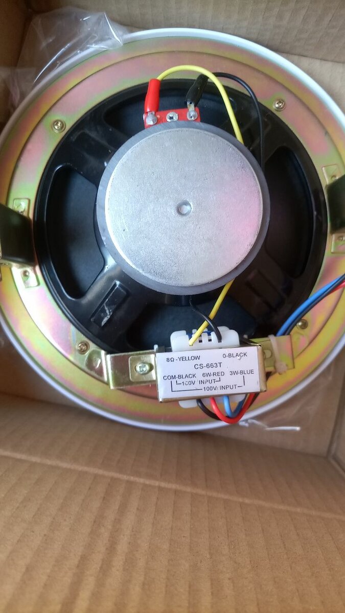 Ceiling Speaker Flush Mount