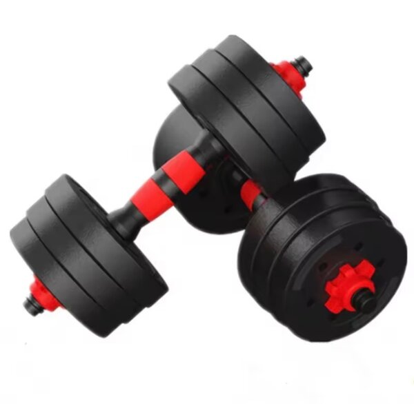 Haltères réglables 2-en-1