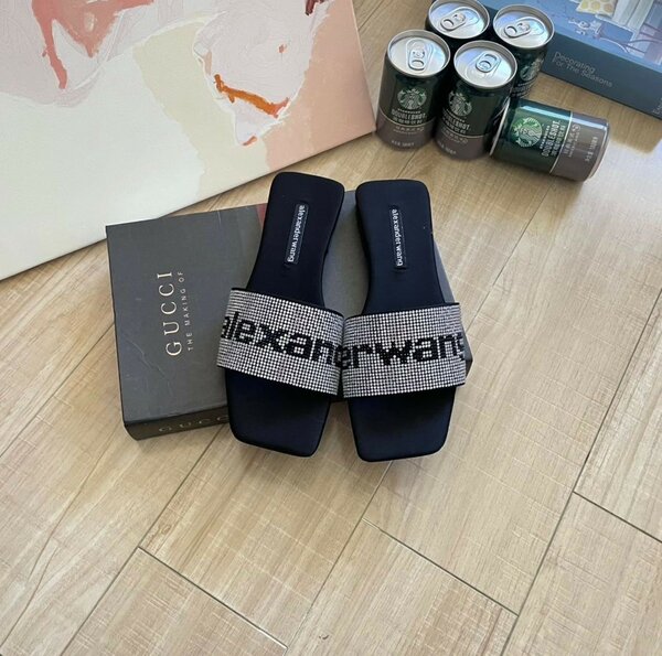 Alexander wang slippers