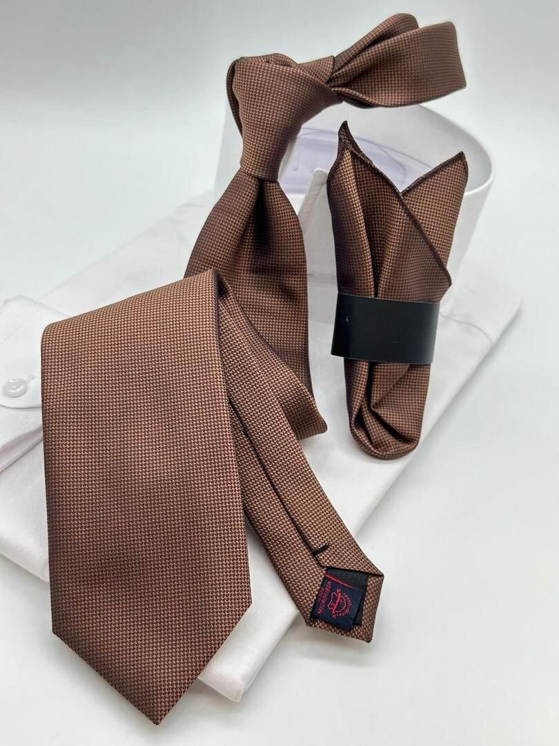 Cravate en Soie Élégante