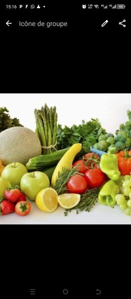 Pharma Vitalité Bio 