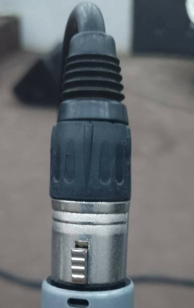 Tête de Micro (mal & femelle)