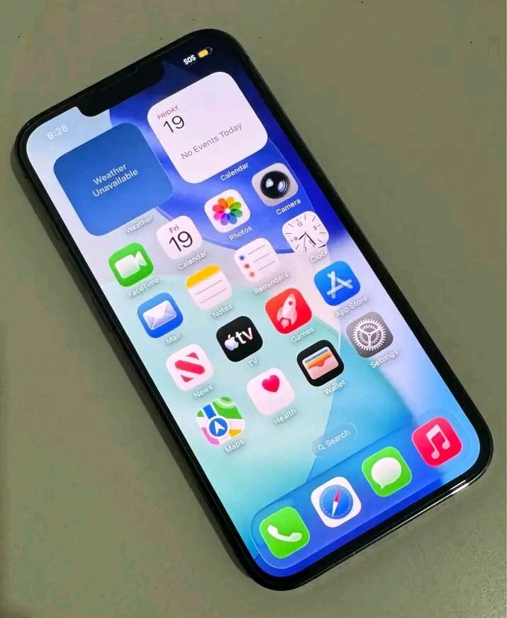 iPhone 13 Pro Max Noir