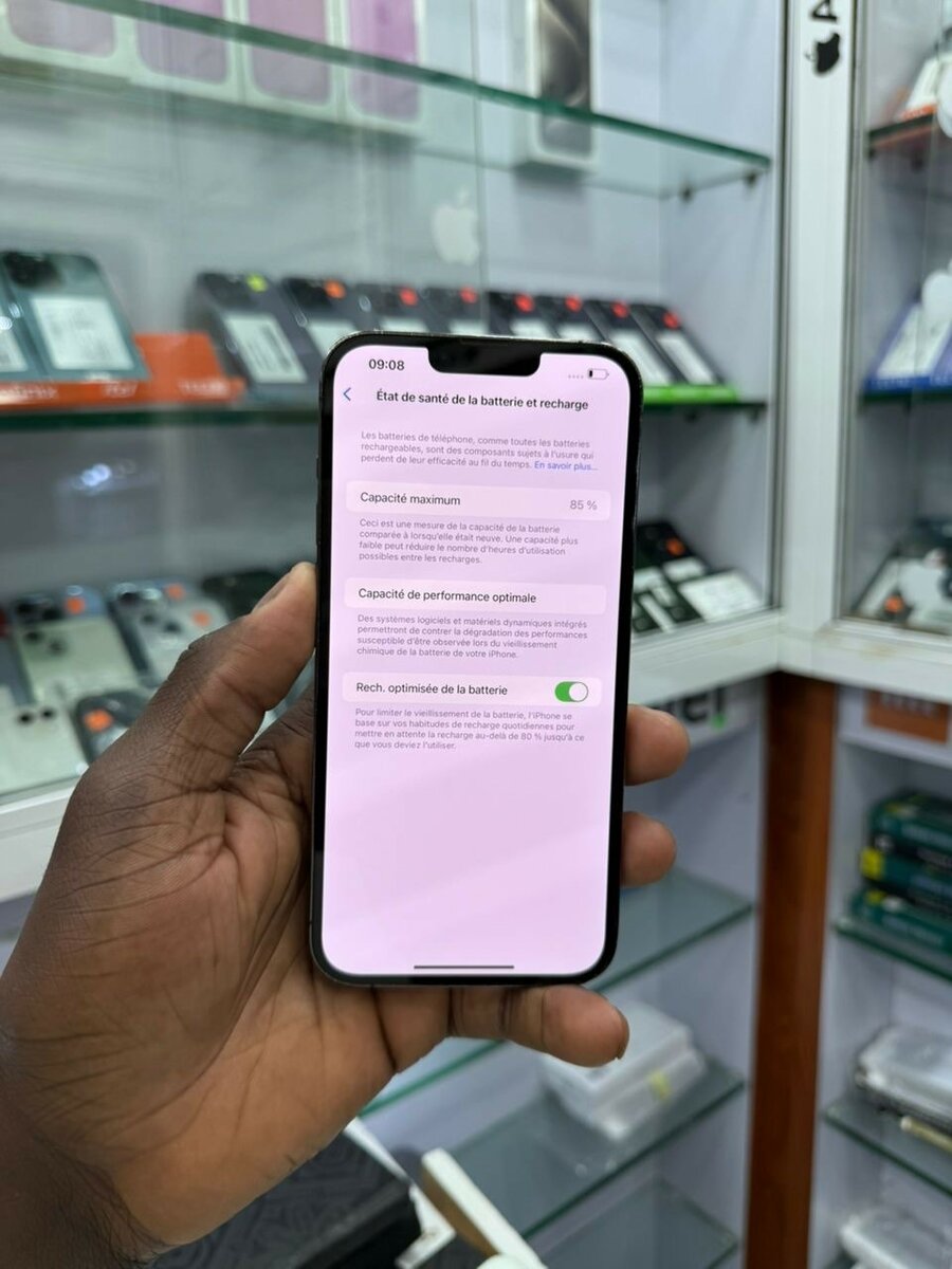 iPhone 13 Pro Max