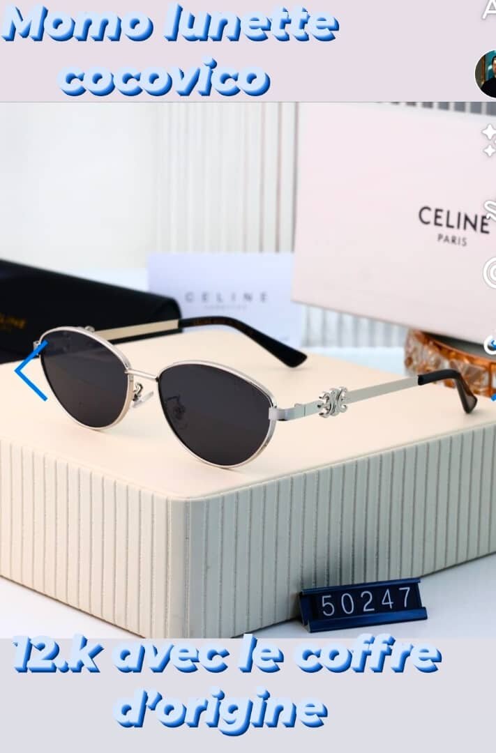 Lunettes de Soleil Élégantes