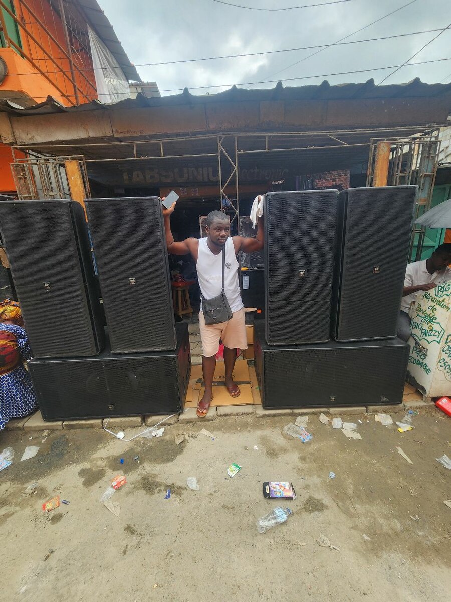 Professional Audio Speaker System