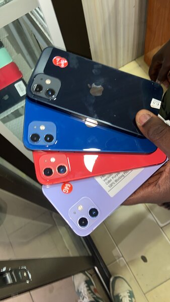 iPhone 12- Couleurs Éclatantes