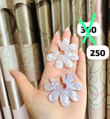 Earrings