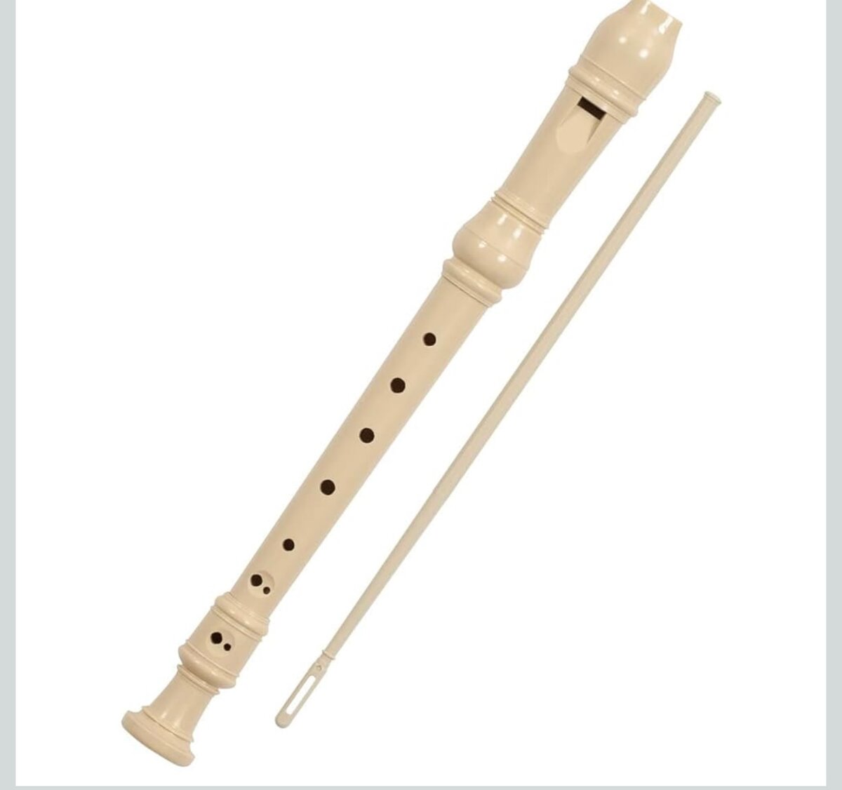 Flûte à bec en plastique