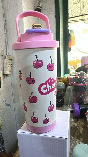 Gourde Isotherme en Acier Inox