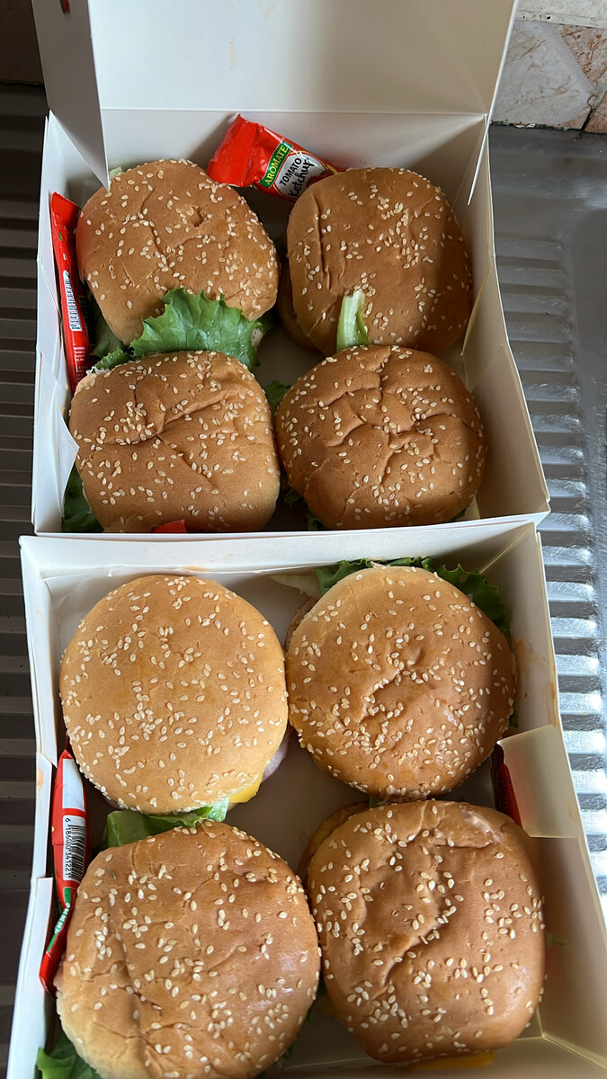 Delicious Burger Box(10)