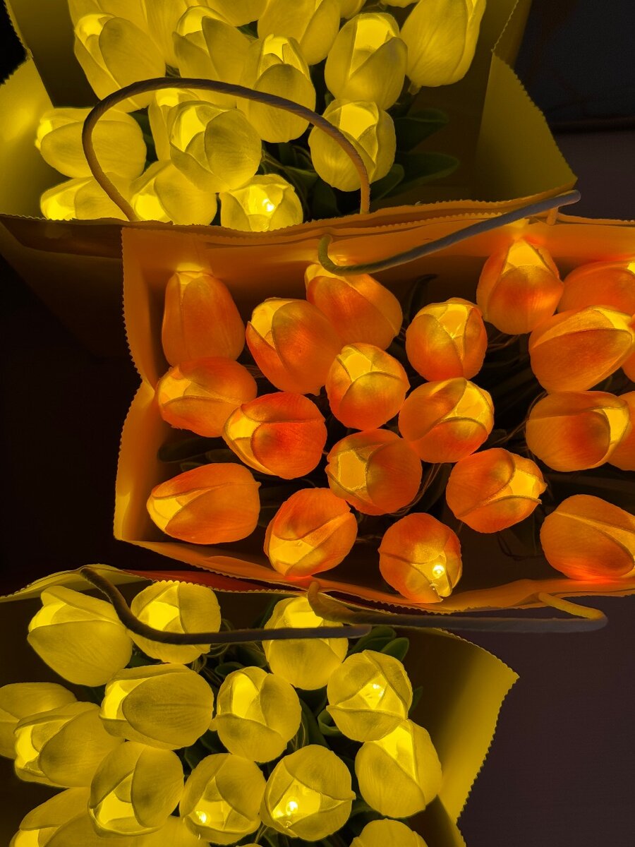 Светящийся тюльпаны