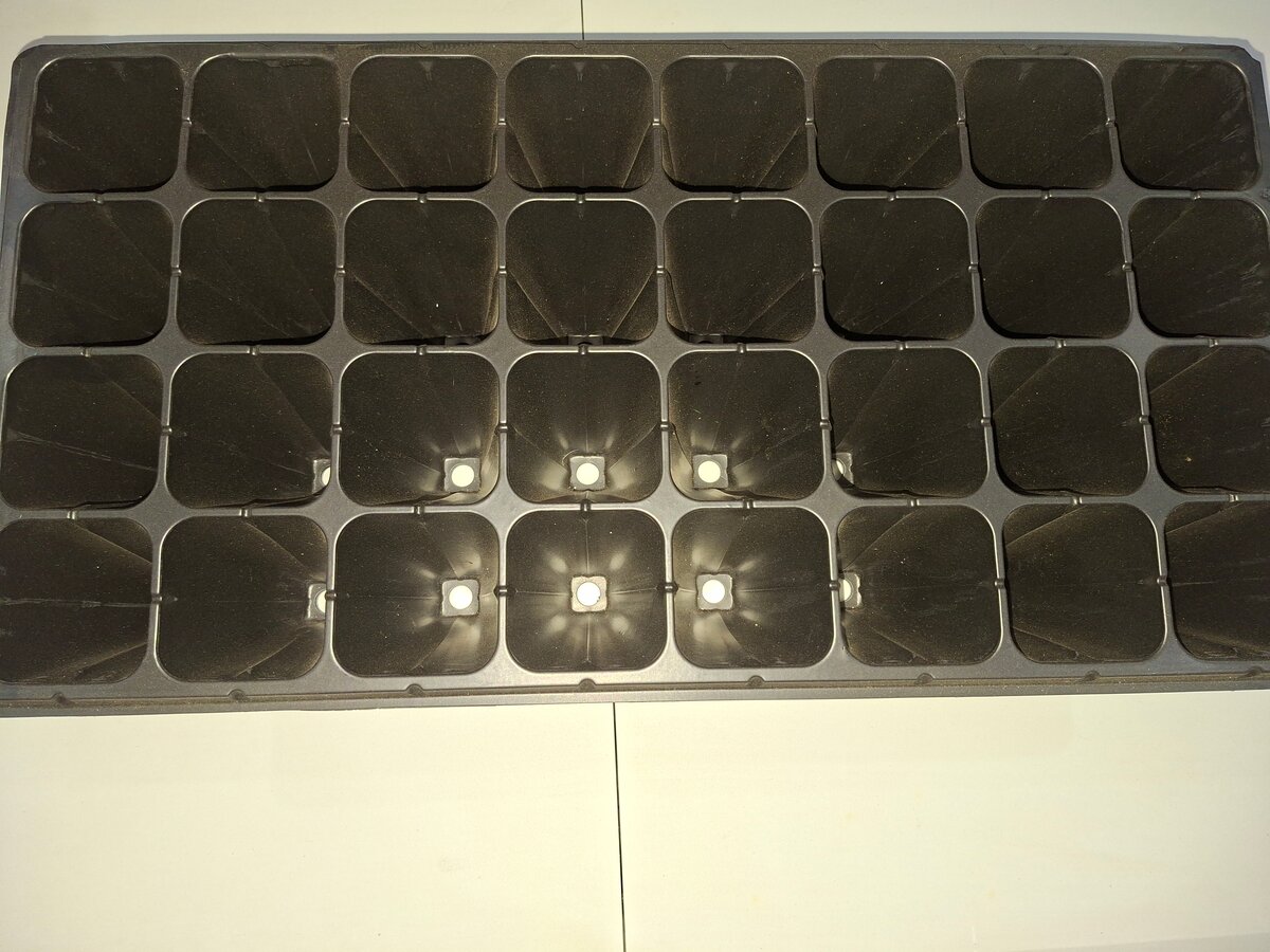 Plateau de multiplication 24 cellules