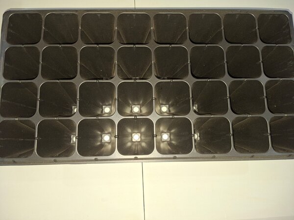 Plateau de multiplication 24 cellules