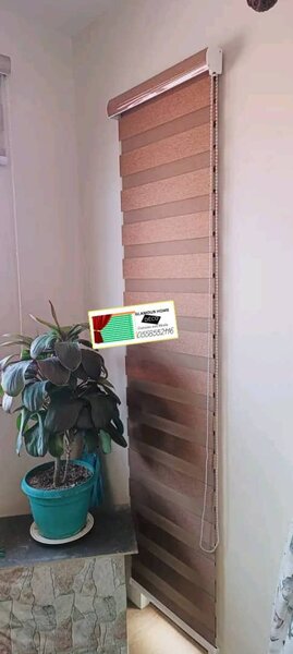 First class zebra window blinds