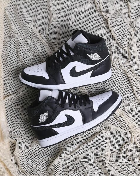 Air Jordan Sneakers Noir et Blanc