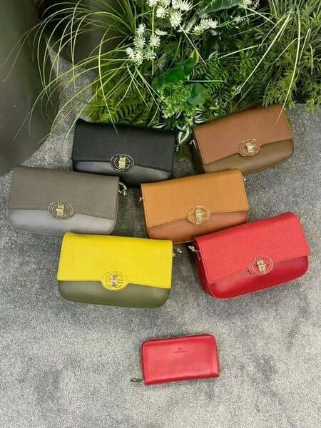 Sac à main en cuir élégant