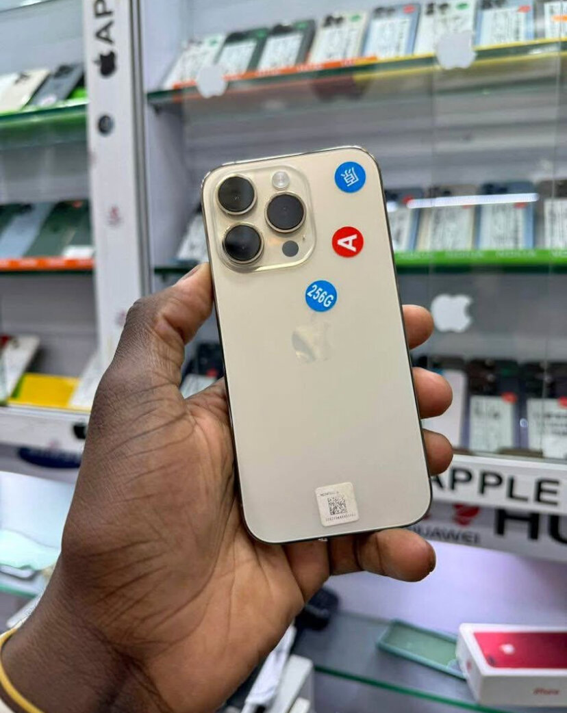 iPhone Pro Max 256Go