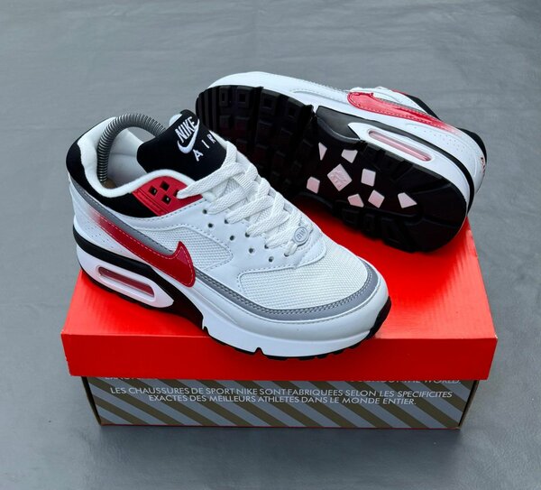 Baskets Nike Air Max Classiques