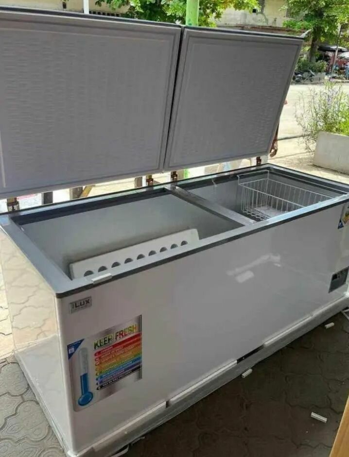 Congélateur Coffre Grande Capacité