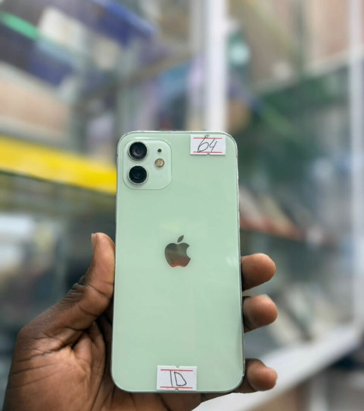iPhone 12 Vert - 64 Go