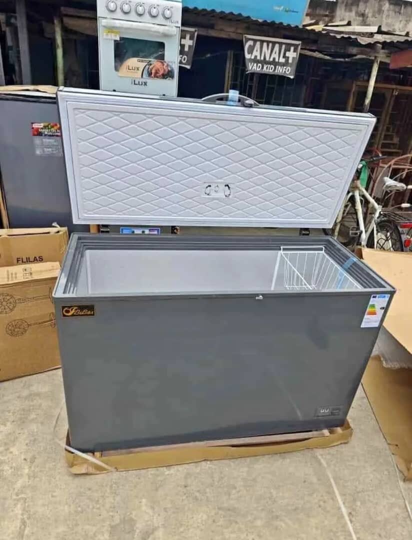 Congélateur Coffre Grande Capacité