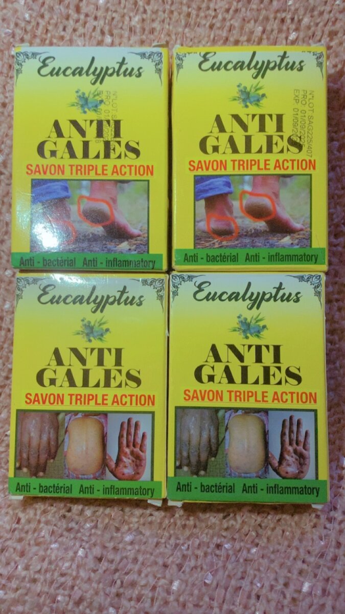 Savon Eucalyptus Triple Action