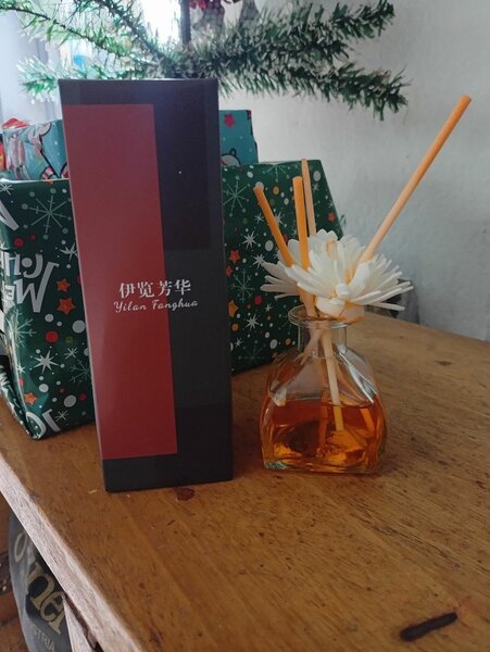 Diffuseur Parfum Maison Élégant