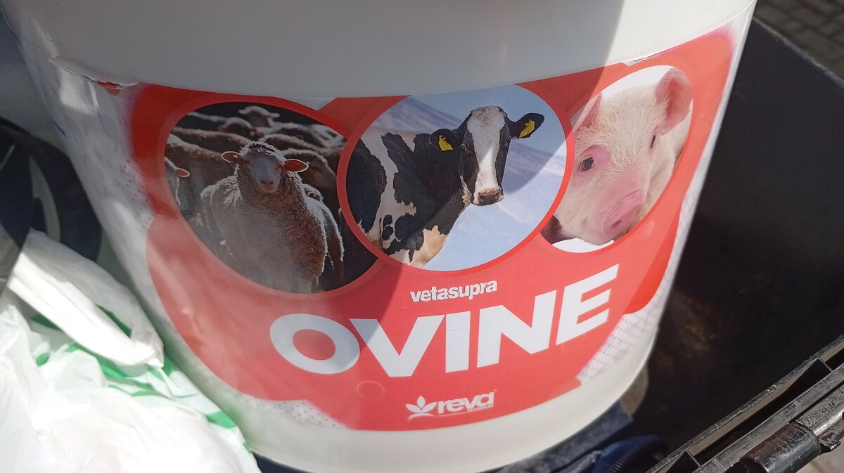 Supplément Alimentaire Ovine