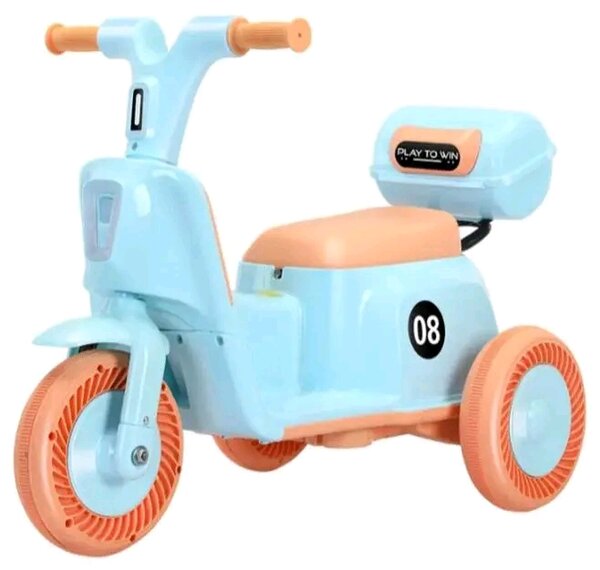 Tricycle Bleu pour Enfants